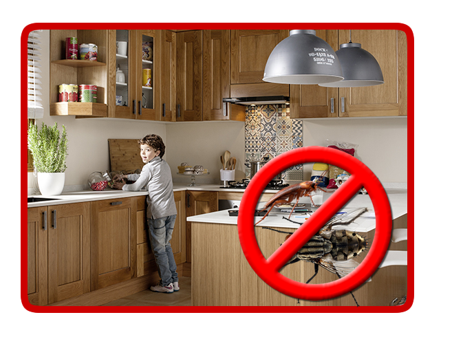 desinsectacion6 desinsectacion6